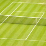 Grass Court in Tennis What is it