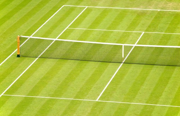 Grass Court in Tennis What is it